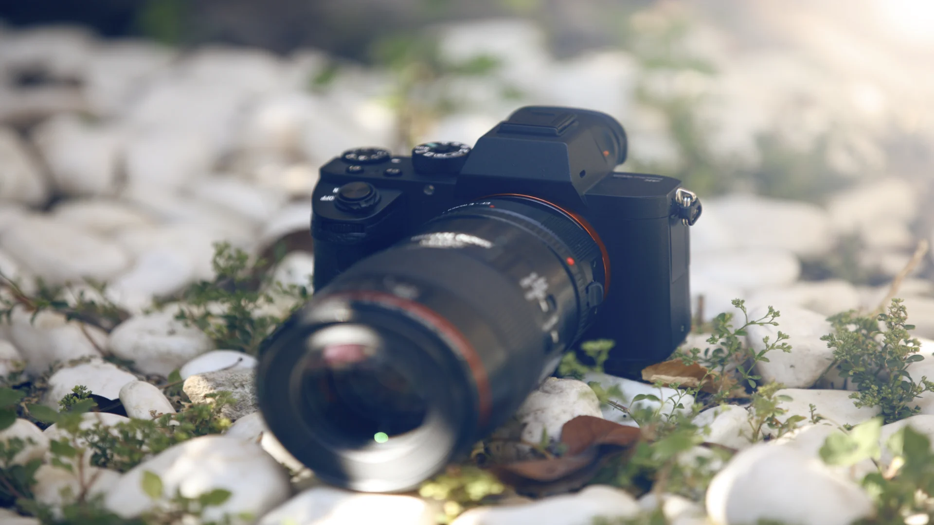 DJI anuncia el lanzamiento de su camara mirrorless